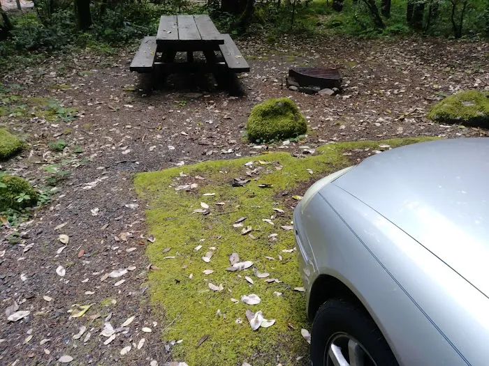 Grayback Campground Picture 3
