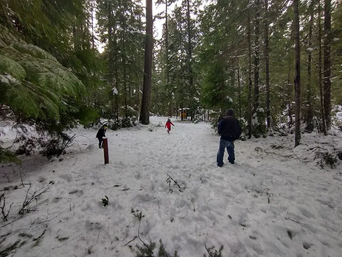 Grayback Campground Picture 5