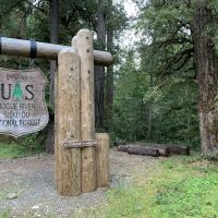 Grayback Campground ico