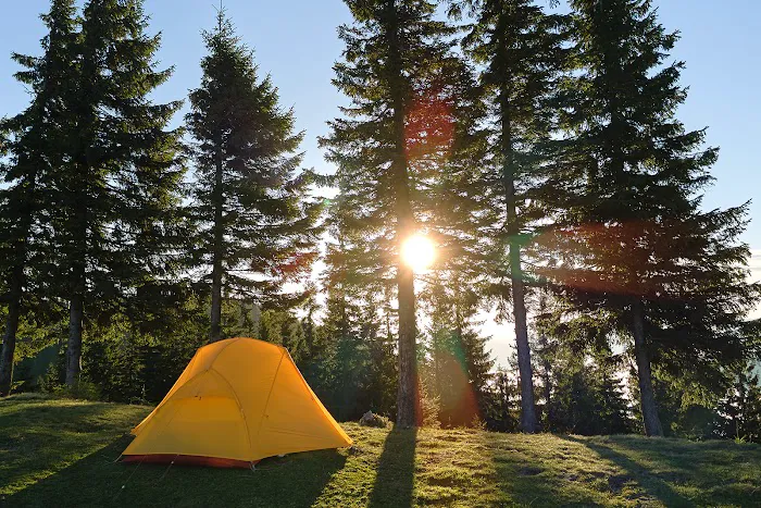 Cave Junction KOA Journey Picture 9
