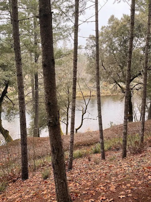 Cedar Bloom Farm Picture 4