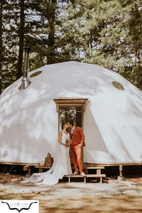 Cedar Bloom Farm Picture 6