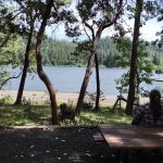 Osprey loop campground at Lake Selmac