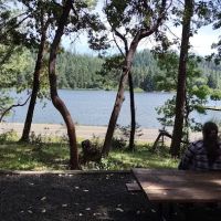 Osprey loop campground at Lake Selmac ico