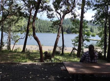 Osprey loop campground at Lake Selmac