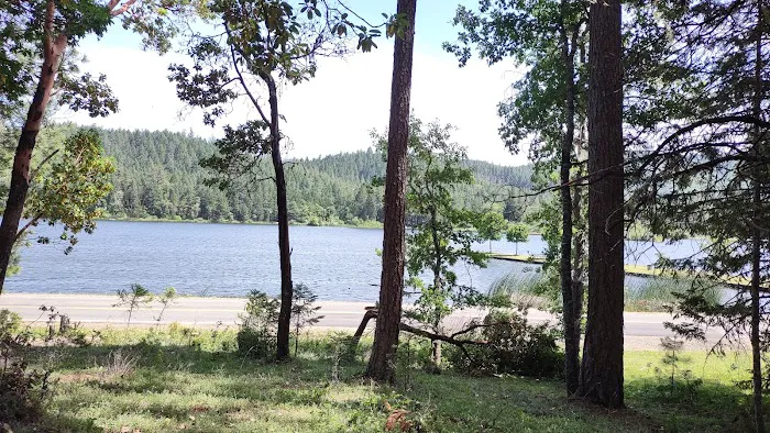 Osprey loop campground at Lake Selmac Picture 5