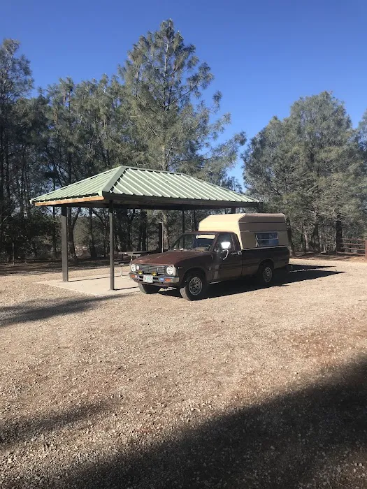 Williams Hill Campground Picture 6