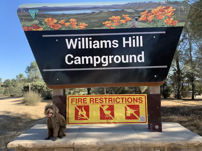 Williams Hill Campground Picture 10