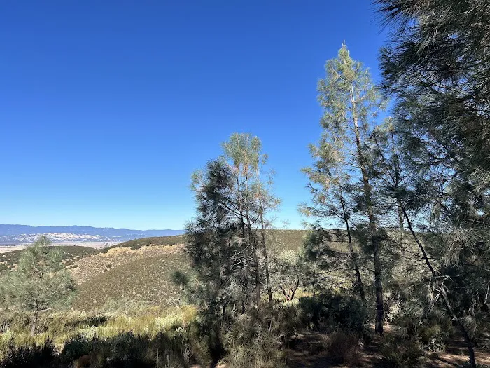 Williams Hill Campground Picture 5
