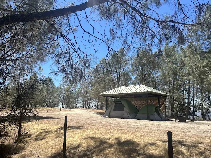 Williams Hill Campground Picture 2
