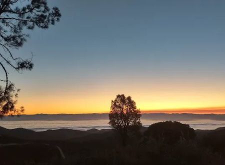 Williams Hill Campground