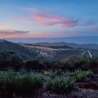 Williams Hill ico