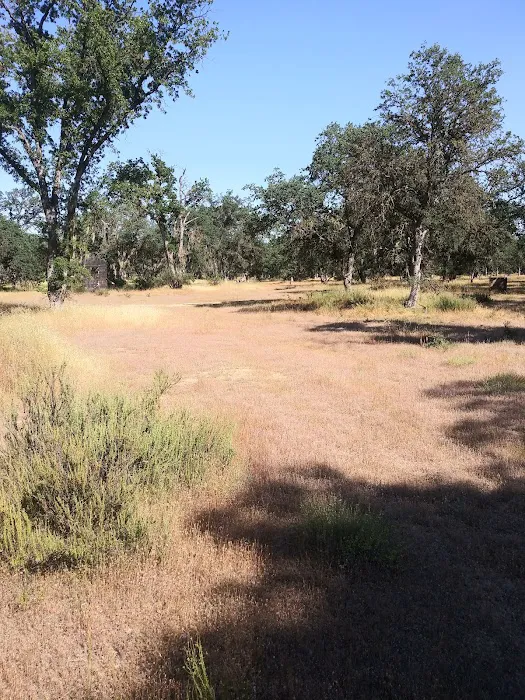 Fort Hunter Liggett Campground Picture 8