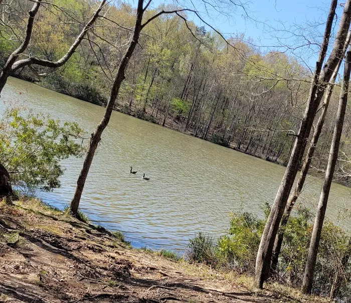 Natchez State Park Campground Picture 2