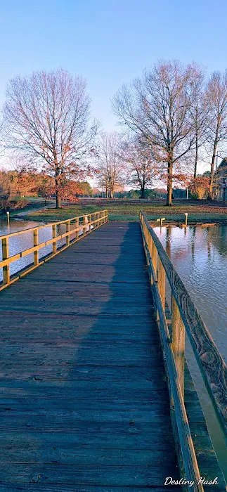 Natchez State Park Campground Picture 10