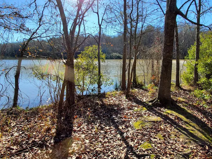 Natchez State Park Campground Picture 8