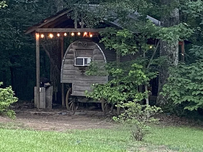 Tunica Hills Campground Picture 2