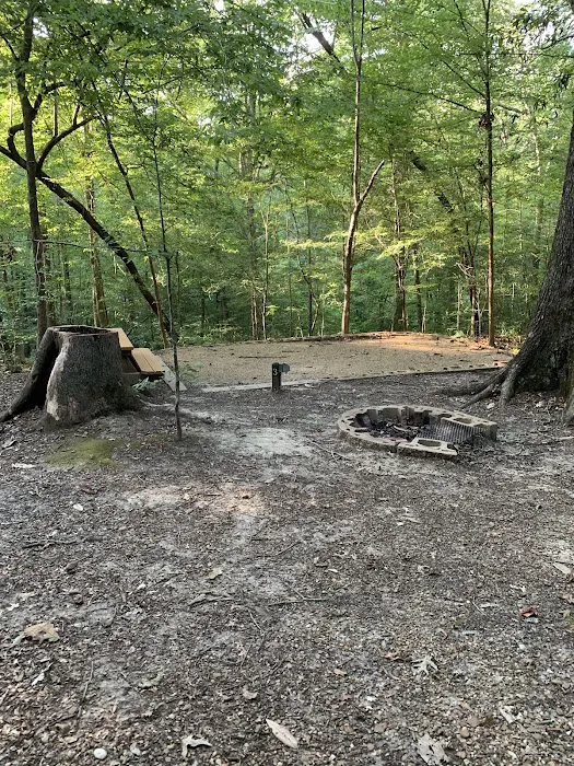 Tunica Hills Campground Picture 4