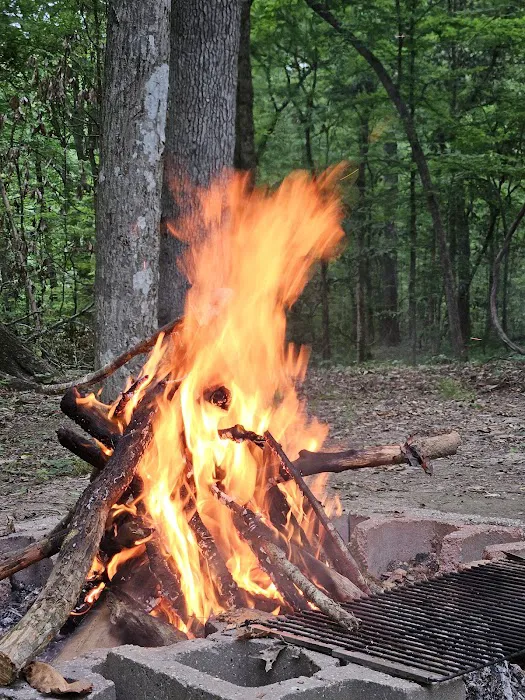 Tunica Hills Campground Picture 8