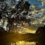 Davis Roadside Park