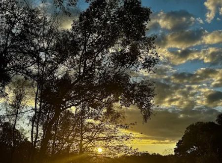 Davis Roadside Park