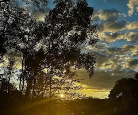 Davis Roadside Park