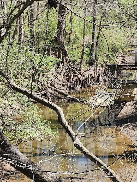 Acadiana Park Campground Picture 5