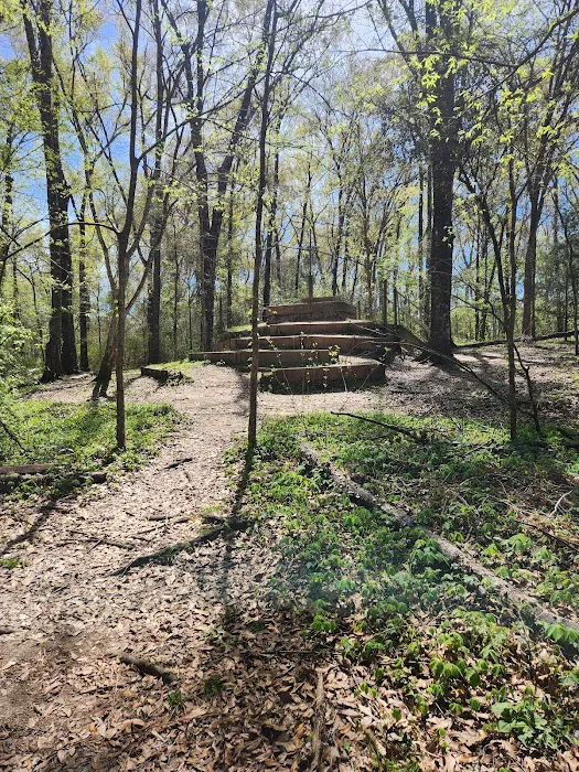 Acadiana Park Campground Picture 7