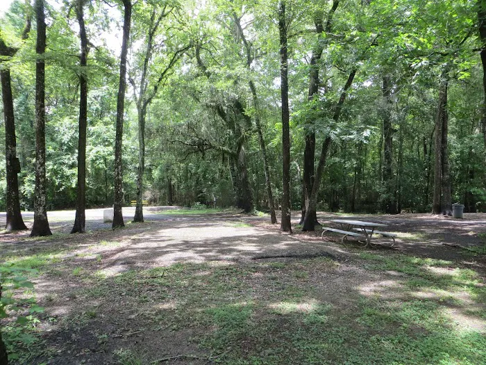 Acadiana Park Campground Picture 3