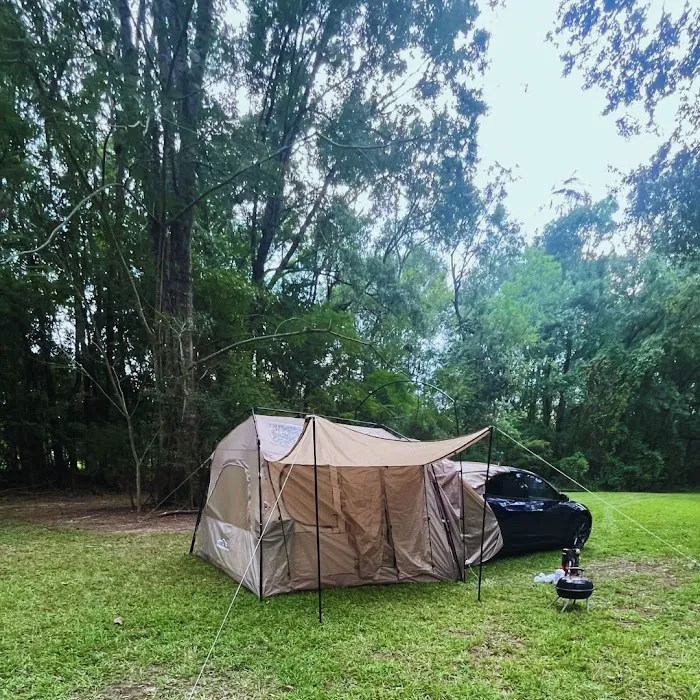 Camping on the Bayou Picture 4