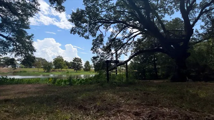 Camping on the Bayou Picture 1