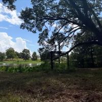 Camping on the Bayou ico