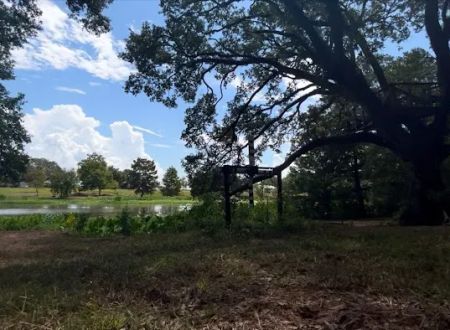 Camping on the Bayou