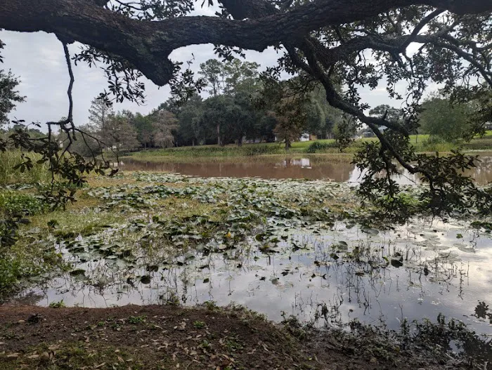 Camping on the Bayou Picture 3
