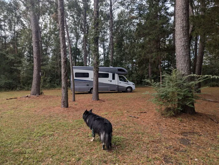 Camping on the Bayou Picture 10