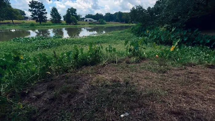 Camping on the Bayou Picture 8
