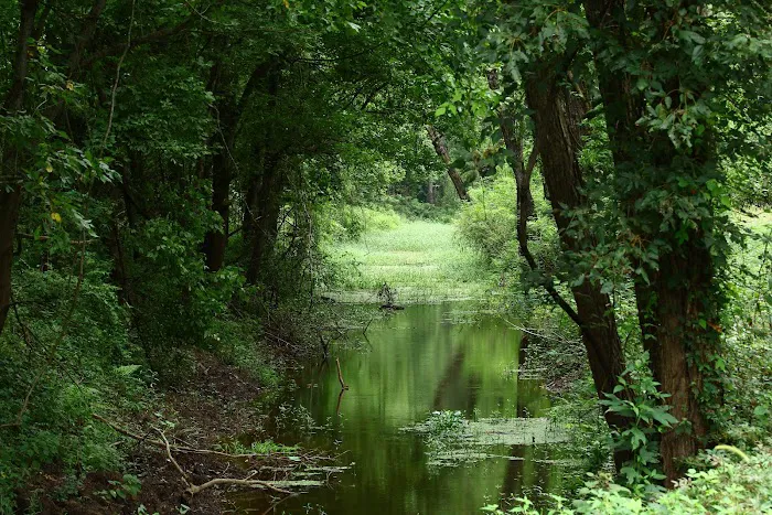 Red River Bay Campground Picture 4