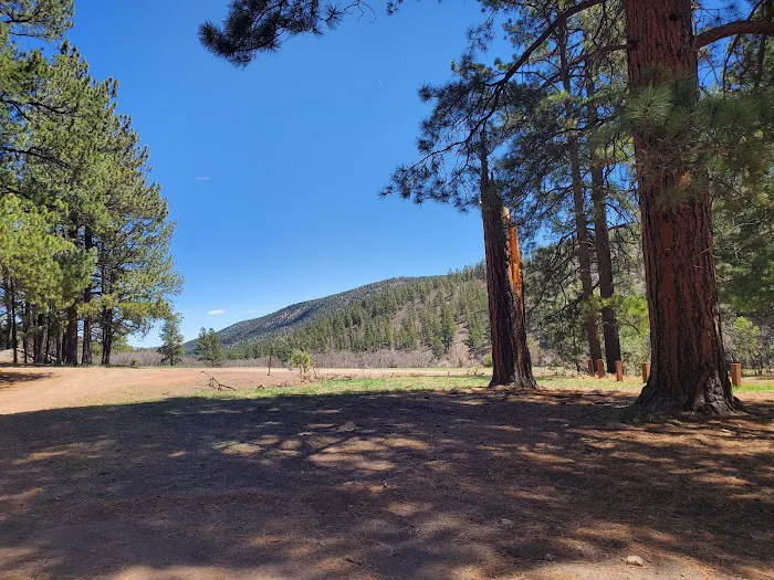 Coyote Canyon Campground, Santa Fe National Forest, Coyote Ranger District, USDA Picture 10