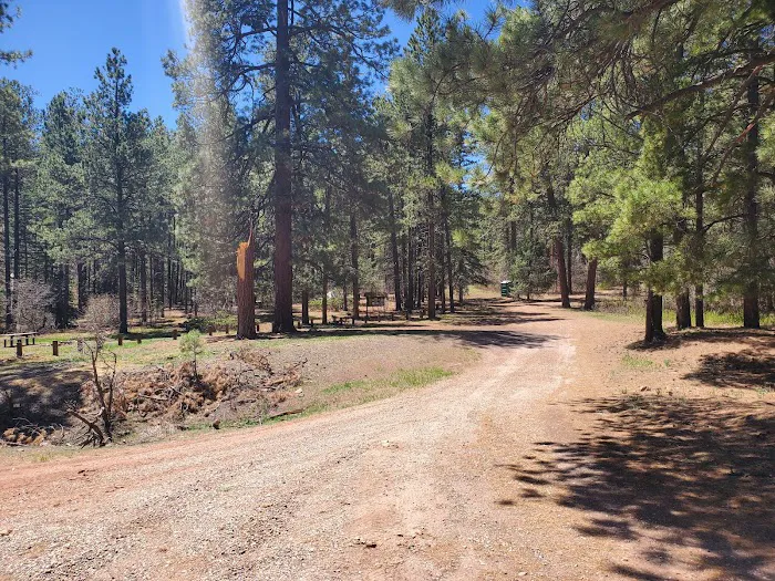 Coyote Canyon Campground, Santa Fe National Forest, Coyote Ranger District, USDA Picture 1