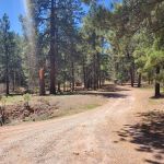 Coyote Canyon Campground, Santa Fe National Forest, Coyote Ranger District, USDA