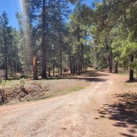 Coyote Canyon Campground, Santa Fe National Forest, Coyote Ranger District, USDA ico