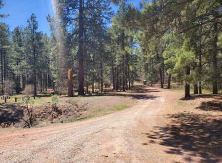 Coyote Canyon Campground, Santa Fe National Forest, Coyote Ranger District, USDA