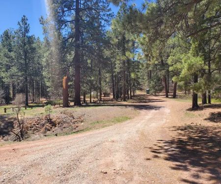 Coyote Canyon Campground, Santa Fe National Forest, Coyote Ranger District, USDA