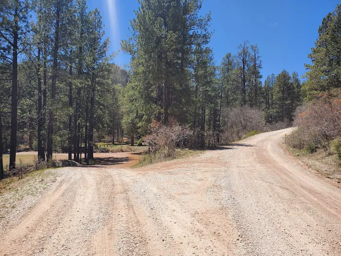 Coyote Canyon Campground, Santa Fe National Forest, Coyote Ranger District, USDA Picture 7
