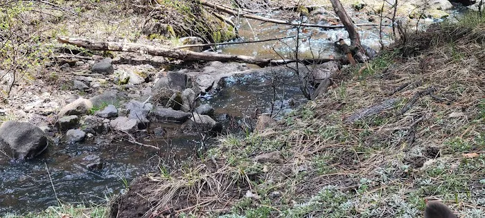 Coyote Canyon Campground, Santa Fe National Forest, Coyote Ranger District, USDA Picture 4