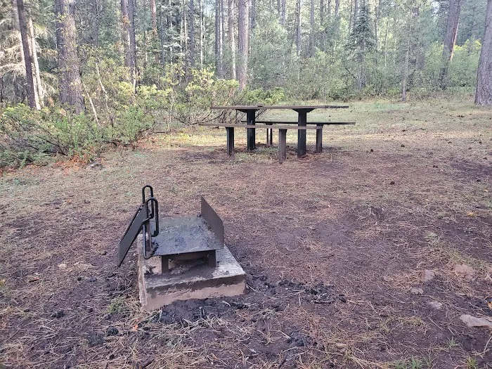 Coyote Canyon Campground, Santa Fe National Forest, Coyote Ranger District, USDA Picture 9