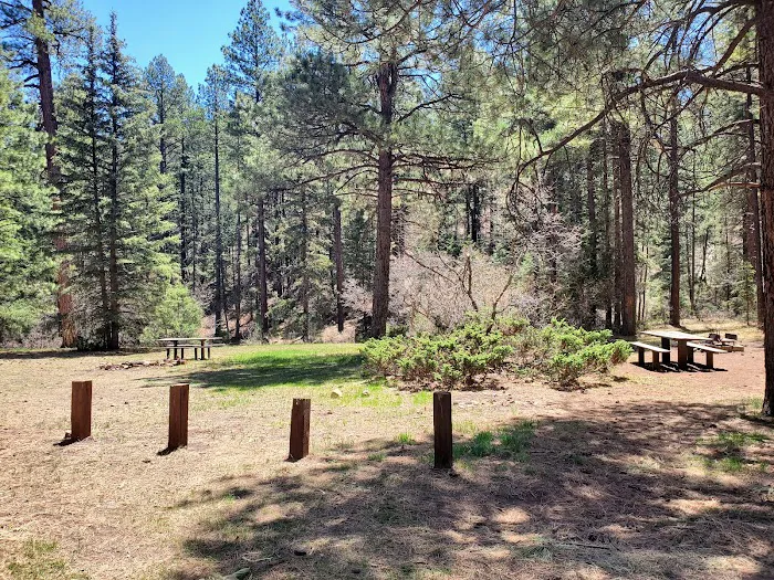 Coyote Canyon Campground, Santa Fe National Forest, Coyote Ranger District, USDA Picture 6