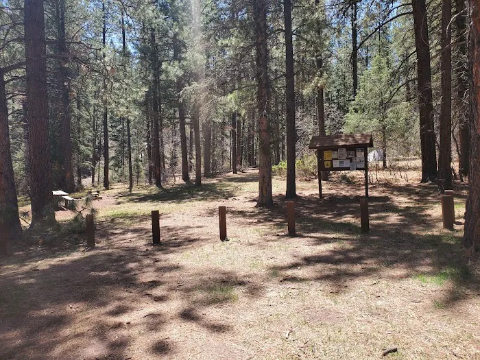 Coyote Canyon Campground, Santa Fe National Forest, Coyote Ranger District, USDA Picture 2