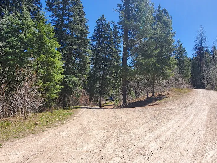 Rio Puerco Campground, Coyote Ranger District, Santa Fe National Forest Picture 6