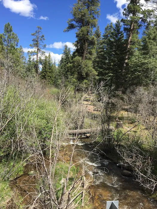 Rio Puerco Campground, Coyote Ranger District, Santa Fe National Forest Picture 4